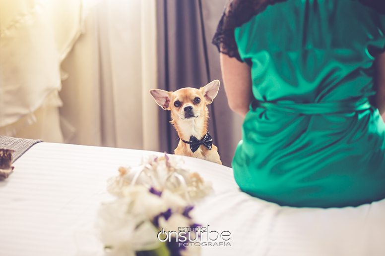 Fotografos-Bodas-Madrid-Boda-Quinta-Jarama-Onsurbe-Estudio12