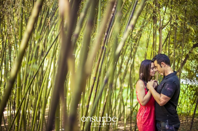 fotografo_preboda_onsurbe_0005_aranjuez_sorayayquique